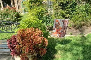 726 Country Pl Dr, Houston, TX 77079 - Photo 17