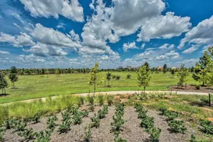 10706 Wild Blue Lupine Wy, Cypress, TX 77433 - Photo 37