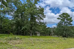 6041 County Rd 302, Navasota, TX 77868 - Photo 1