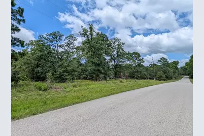 6041 County Road 302, Navasota, TX 77868 - Photo 3
