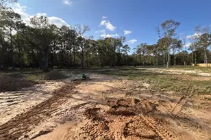 107 County Rd 3372, Cleveland, TX 77327 - Photo 27