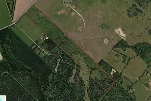 831 Stockold Rd, Sealy, TX 77474 - Photo 1