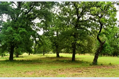 Tbd Fcr 421 W, Buffalo, TX 75831 - Photo 9
