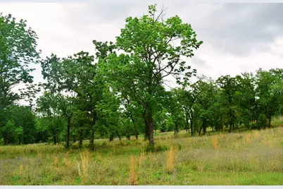 Tbd Fcr 421 W, Buffalo, TX 75831 - Photo 17