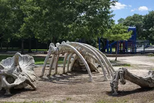 207 Tabor St, Houston, TX 77009 - Photo 27