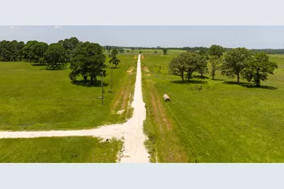 Tbd Live Oak Court, Crockett, TX 75835 - Photo 21