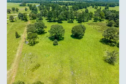 Tbd Live Oak Court, Crockett, TX 75835 - Photo 7