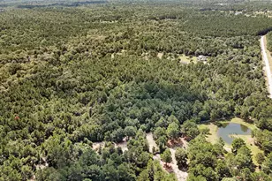 21490 Big Buck Dr, Cleveland, TX 77328 - Photo 11