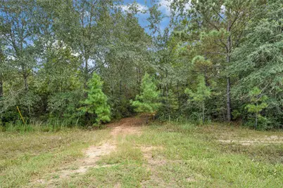 21490 Big Buck Drive, Cleveland, TX 77328 - Photo 3