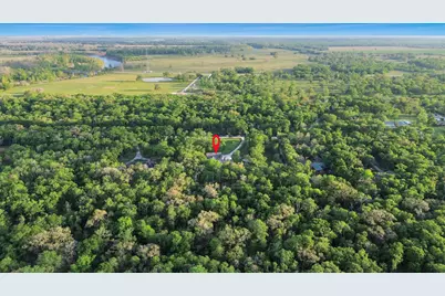 20202 Deer Run Road, Damon, TX 77430 - Photo 45