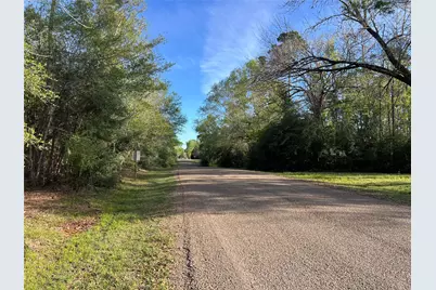 Tbd Idlewild Drive, Onalaska, TX 77360 - Photo 3
