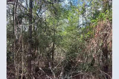 Tbd Idlewild Drive, Onalaska, TX 77360 - Photo 5