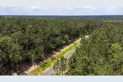 Tbd 11B Timberland Branch Drive, Woodville, TX 75979 - Photo 9