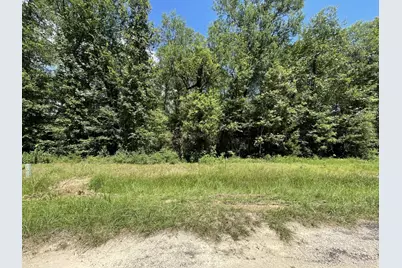 Lot 265-267 Knottypine, Livingston, TX 77351 - Photo 29