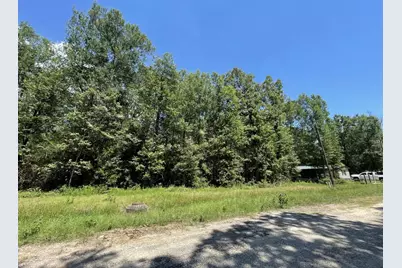 Lot 265-267 Knottypine, Livingston, TX 77351 - Photo 37