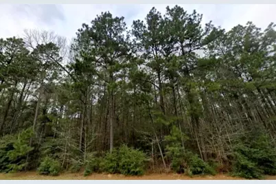 126 Hollow Hill Drive, New Waverly, TX 77358 - Photo 3