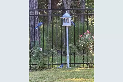 725 Ivory Creek Court, Willis, TX 77378 - Photo 49