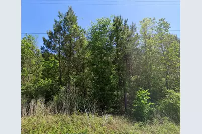 0 Duff Road, Livingston, TX 77351 - Photo 3