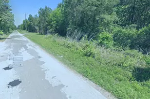 0 Duff Rd, Livingston, TX 77351 - Photo 1