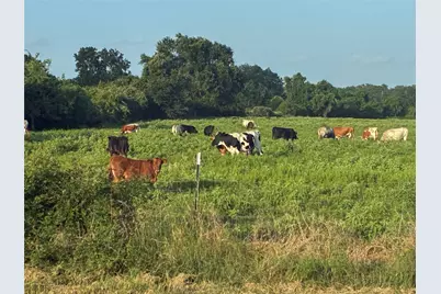 1523 22nd Street, Hempstead, TX 77445 - Photo 23