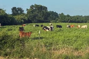 1523 22nd St, Hempstead, TX 77445 - Photo 23