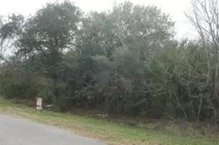 00 Mills Rd, Hitchcock, TX 77563 - Photo 1