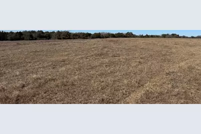 Tbd Wolters and Kainer Road, Schulenburg, TX 78956 - Photo 23