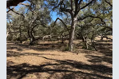 Tbd Wolters and Kainer Road, Schulenburg, TX 78956 - Photo 3