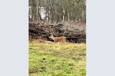 33626 Blue Marlin Drive, Richwood, TX 77531 - Photo 7