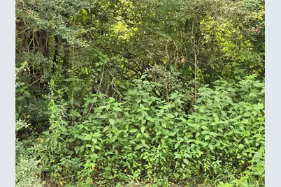 00 County Road 2500, Liberty, TX 77575 - Photo 5