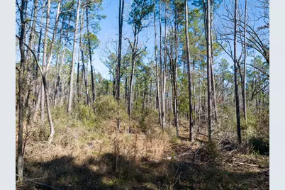 Tbd O'Quinn Road, Pollok, TX 75969 - Photo 27