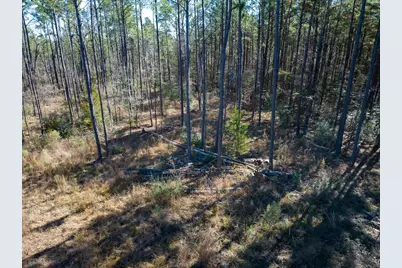 Tbd O'Quinn Road, Pollok, TX 75969 - Photo 11