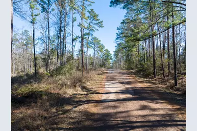 Tbd O'Quinn Road, Pollok, TX 75969 - Photo 21