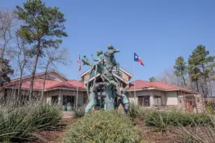 34 Sovereign Way, Conroe, TX 77384 - Photo 39