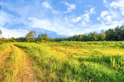 12520 Highway 59 S, Shepherd, TX 77371 - Photo 7