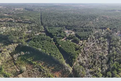 Lot 2 E Fm 942, Camden, TX 75934 - Photo 5