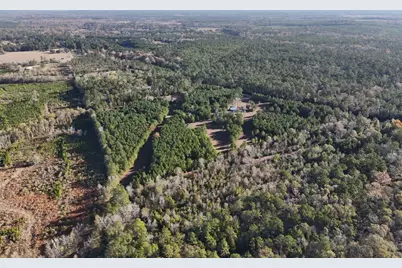 Lot 2 E Fm 942, Camden, TX 75934 - Photo 9