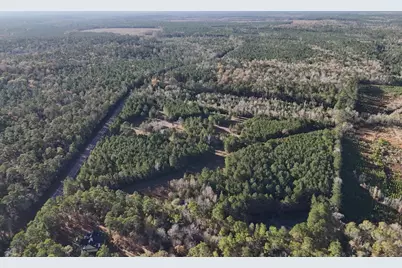 Lot 2 E Fm 942, Camden, TX 75934 - Photo 3