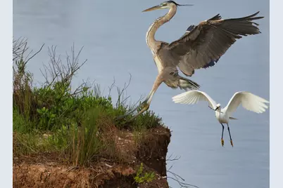 1493 County Road 291, Sargent, TX 77414 - Photo 9