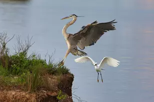 1493 County Rd 291, Sargent, TX 77414 - Photo 9