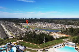 17238 Black Ash Ct, New Caney, TX 77357 - Photo 7