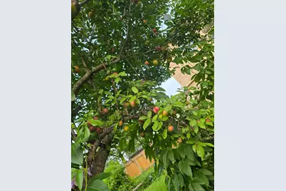 24642 Cornell Park Lane, Katy, TX 77494 - Photo 47