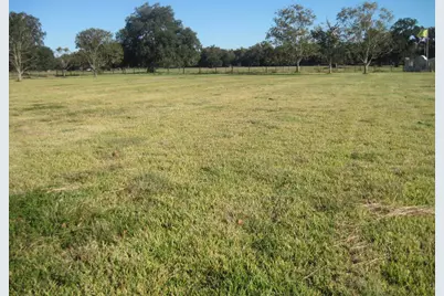 4129 Fm 524 Road, West Columbia, TX 77486 - Photo 7