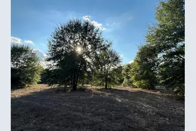 4604 Highway 105 E, Navasota, TX 77868 - Photo 5