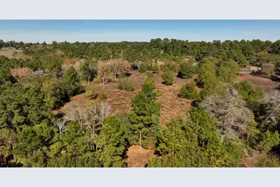 4604 Highway 105 E, Navasota, TX 77868 - Photo 21
