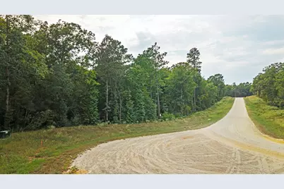 15389 Woodlife Road, Willis, TX 77378 - Photo 7