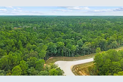 15389 Woodlife Road, Willis, TX 77378 - Photo 9