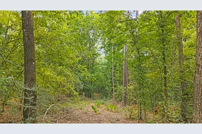 15389 Woodlife Road, Willis, TX 77378 - Photo 11