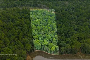 15389 Woodlife Rd, Willis, TX 77378 - Photo 1