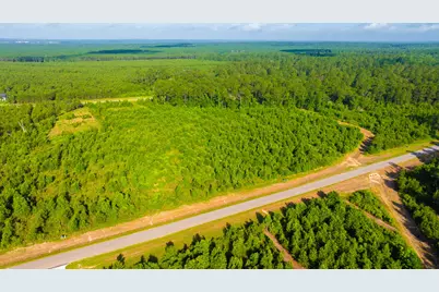 16151 Forest Mill Rd Road, Willis, TX 77378 - Photo 9